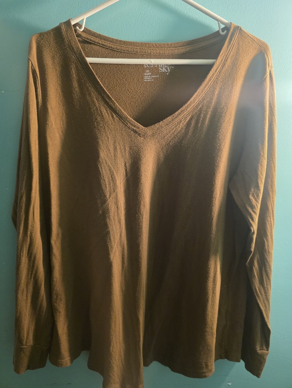 Sky Long Sleeve V-Neck Top in Brown